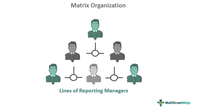 Matrix Organization
