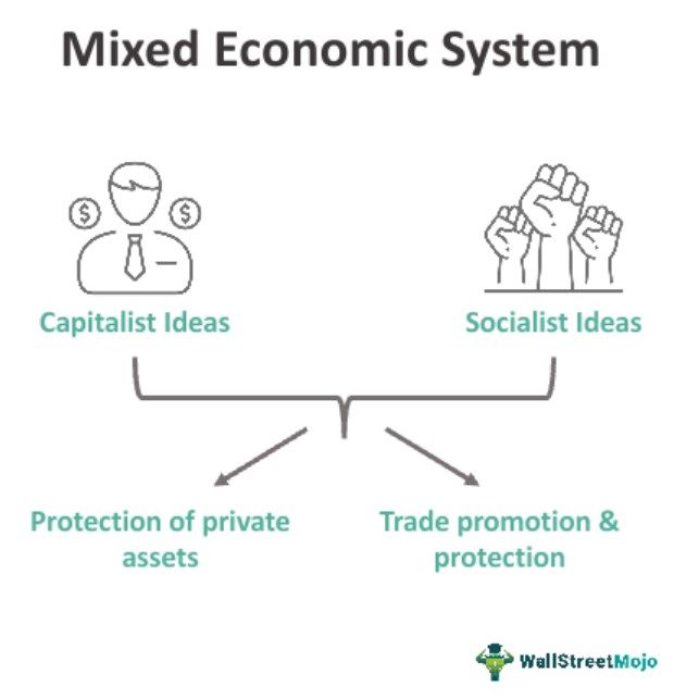Mixed Economic System