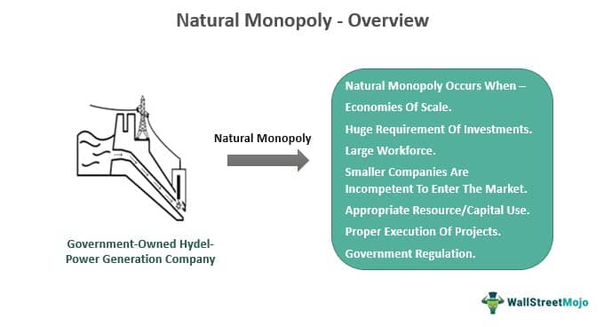 Natural Monopoly