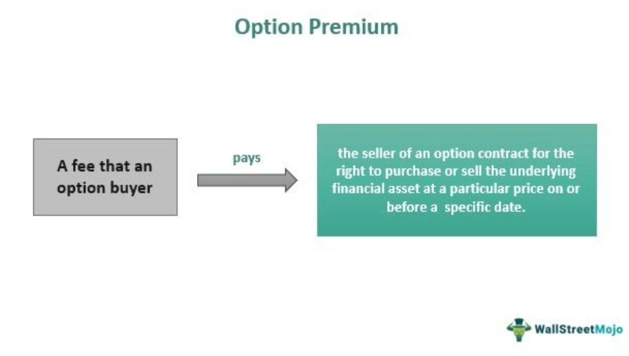 Option Premium