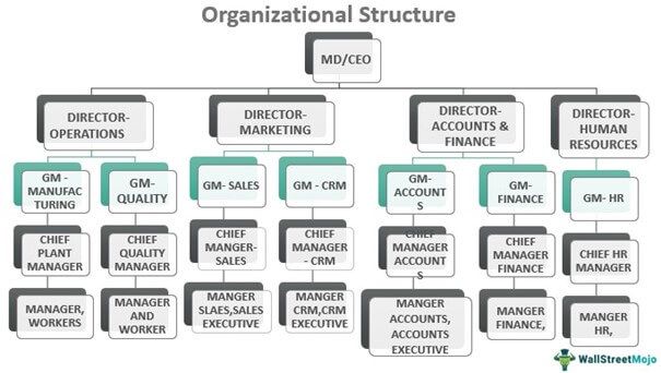 Organizational Structure