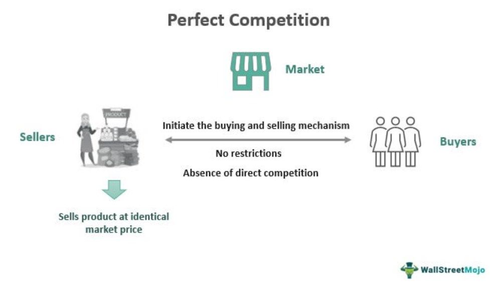 Perfect Competition