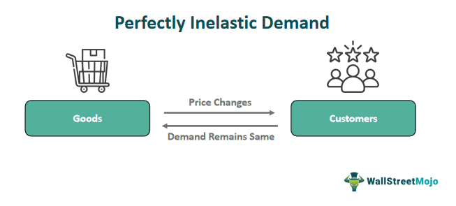Perfectly Inelastic Demand