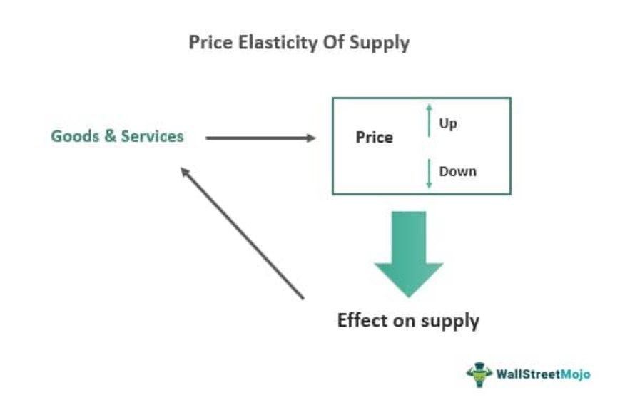 Price Elasticity Of Supply