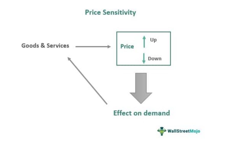 Price Sensitivity