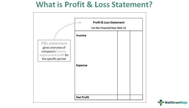 Profit and Loss Statement