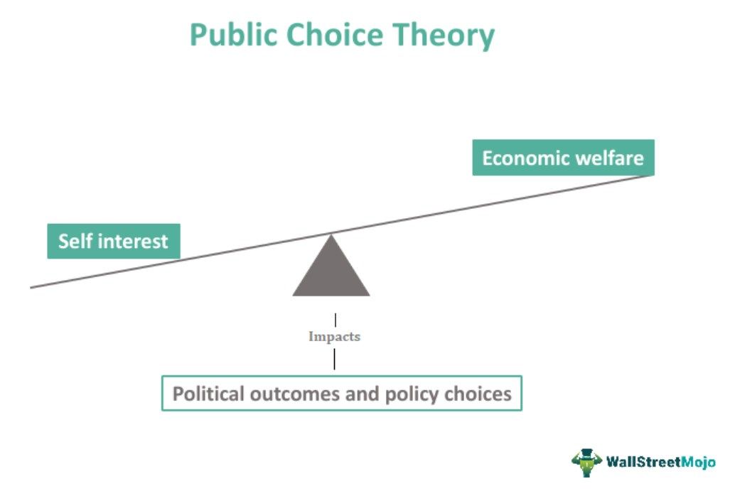 Public Choice Theory