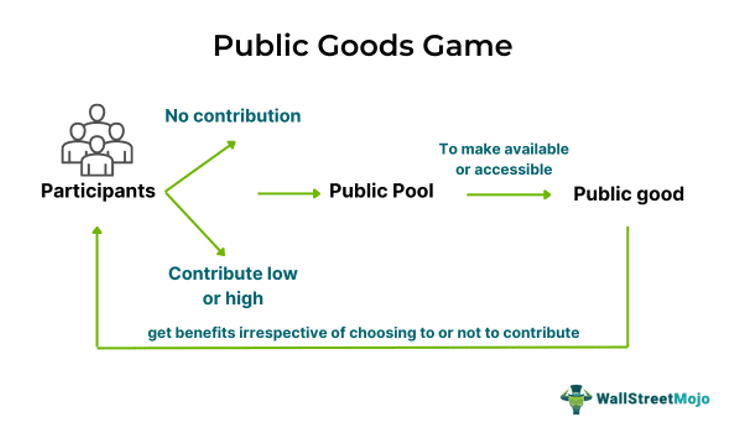 Public Goods Game Meaning