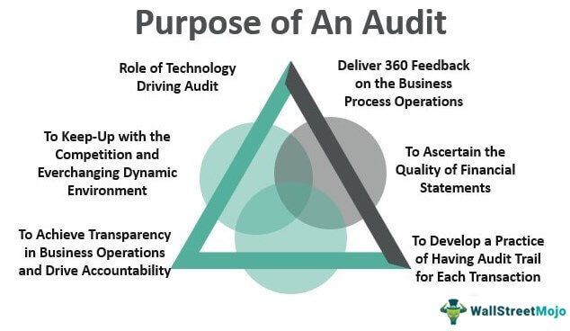Purpose of An Audit
