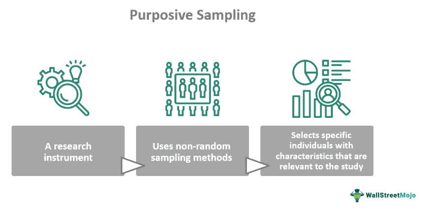 Purposive Sampling