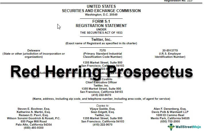 Red Herring Prospectus