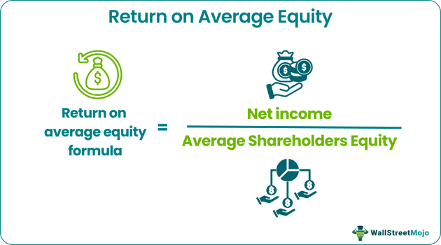 Return on Average Equity (ROAE)