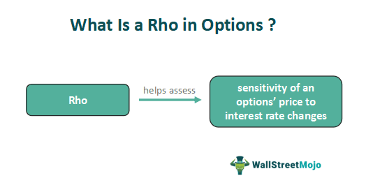 Rho in Options
