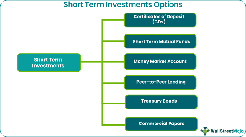 Short Term Investment Options