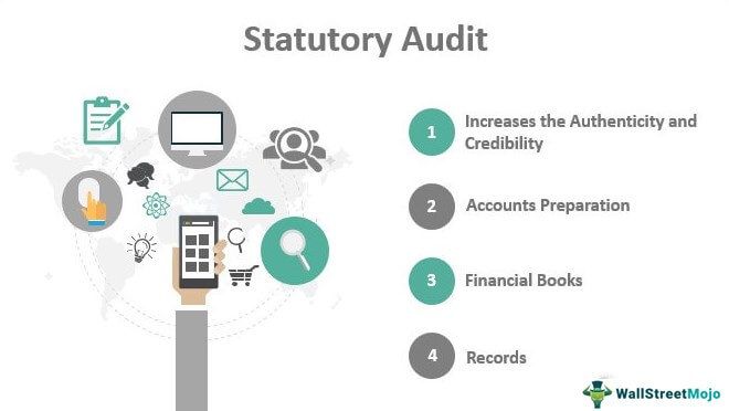 Statutory Audit