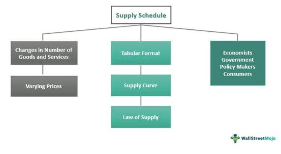 Supply Schedule