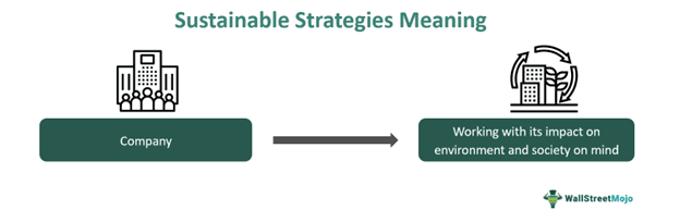 Sustainable Strategies