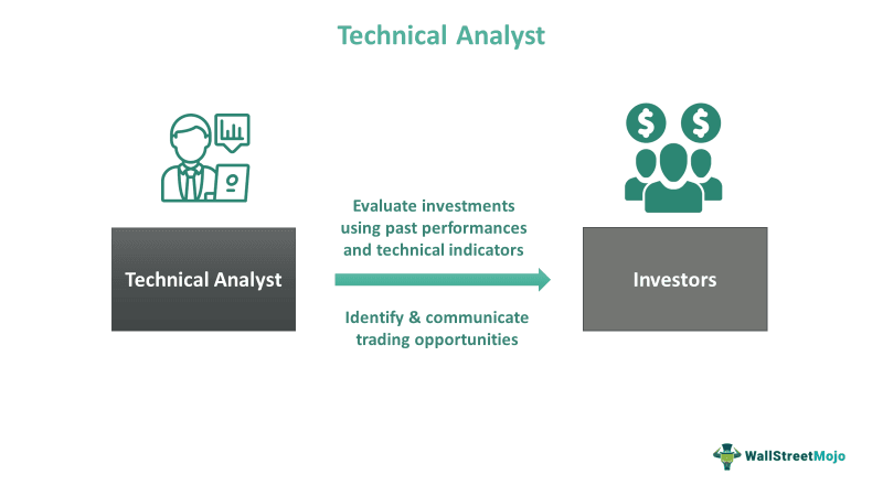 Technical Analyst