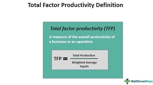 Total Factor Productivity
