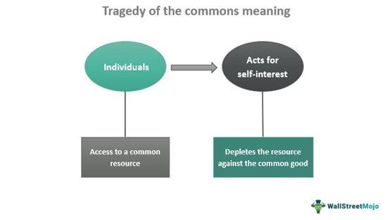 Tragedy Of The Commons