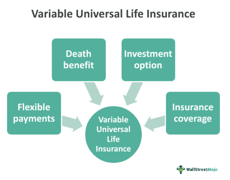 Variable Universal Life Insurance