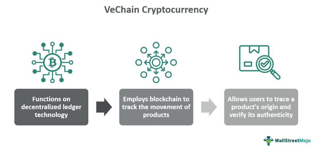 VeChain Cryptocurrency