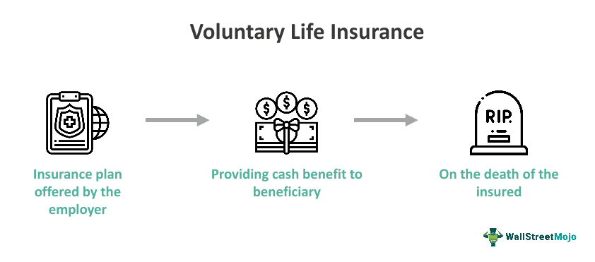Voluntary Life Insurance