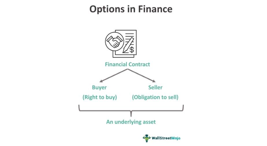 What Are Options In Finance?