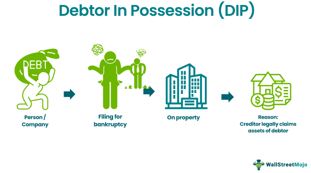 Debtor In Possession